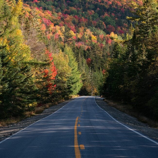 Photographer scouting natural light and scenic outdoor photoshoot locations in New England for an unscripted session.